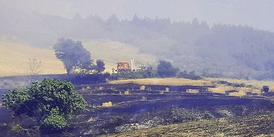 Fındıklı'da Yangın