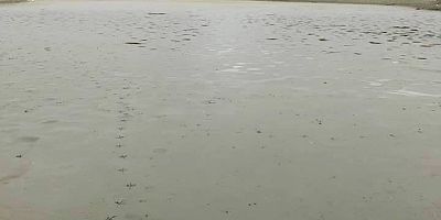 Fındıklı Göleti Kurudu