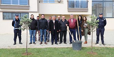 Gelibolu Belediyesi Ağaç Dikmeye Devam Ediyor