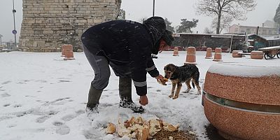Gelibolu Belediyesi Can Dostları Unutmadı
