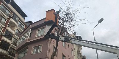 Gelibolu Belediyesi’nden Budamalar İle İlgili Açıklama
