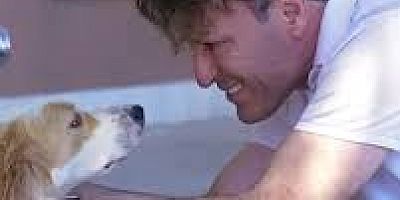 Gelibolu Belediyesi O Köpeği Sahiplendi