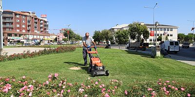 Gelibolu’da Çevre Temizliği