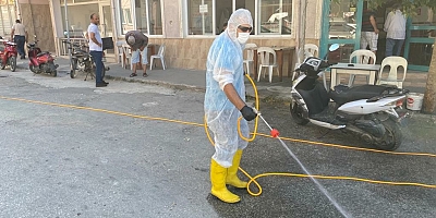 Gelibolu’da Pire Alarmı