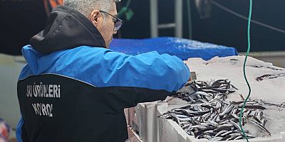 Gelibolu’da Su Ürünleri Denetimleri Devam Ediyor