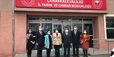 ‘Gelibolu’nun Kadınları Kozalarından Çıkıyor’ Proje Başvurusu Yapıldı