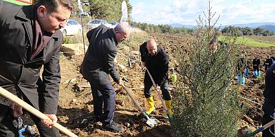 GMKA Hatıra Ormanı İçin Fidanlar Toprakla Buluştu