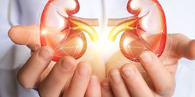 Herkes İçin Böbrek Sağlığı