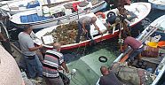 İç Limanda Bağlı Bulunan Balıkçı Teknesi Battı