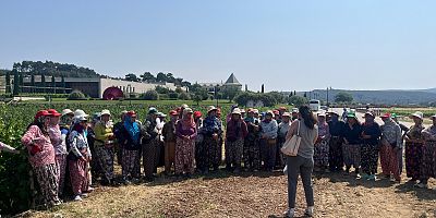 Kadın Emekçilere Kanser Eğitimi