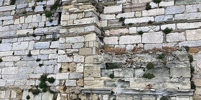 Kale Burcunu Ot Bastı