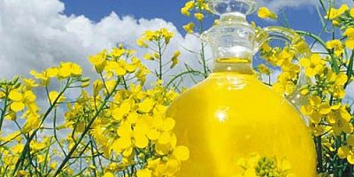 Kanola Ekimi İçin %75 Hibeli Tohum Verilecek