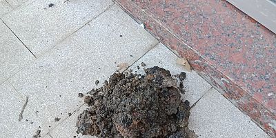  KATI ATIKLARI GELİŞİ GÜZEL ATMAYALIM!