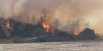 Kavakköy’de Yine Orman Yangını