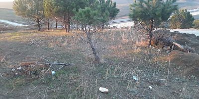 Kavaklıtepe Köyü Mehmetçik-1 Ormanının Hüzünlü Durumu