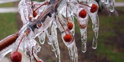 Kaymakamlıktan Zirai Don Uyarısı!