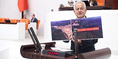 ‘Kazdağları’nın Altını Üstündeki Zeytinidir!’