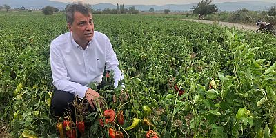 “Köylü Gelirden Vazgeçmiş 150 Bin Liralık Borcunun Derdinde”