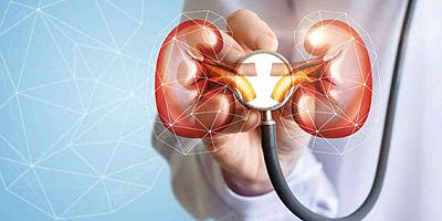 ‘Kronik Böbrek Hastalığı, Önemli Bir Halk Sağlığı Sorunudur’