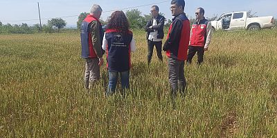 Kuraklık Alarmı: Gelibolu’da Tarımsal Üretim Tehlikede