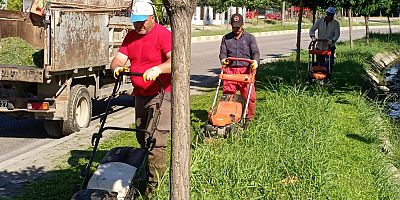 Kurban Bayramı Hazırlıkları Sürüyor