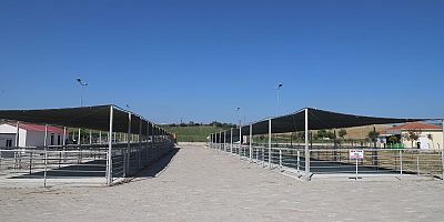 Kurban Satış ve Kesim Yerleri Hazırlandı