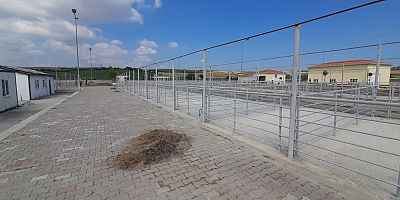 Kurban Satış Yerleri Hazırlanıyor