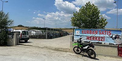 Kurbanlıklar Görücüye Çıktı