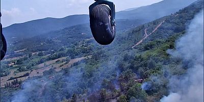 Lapseki’de Orman Yangını