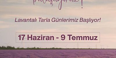 Lavanta Tarla Günleri 17 Haziran’da Başlıyor