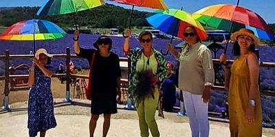 Lavanta Tarla Günleri Renkli Görüntülerle Başladı