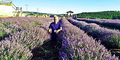 Lavantalı Günler 17 Temmuz’da Hasat Zamanı İle Sona Erecek