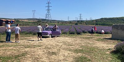 Lavantalı Tarla Günleri Renkli Görüntülerle Devam Ediyor