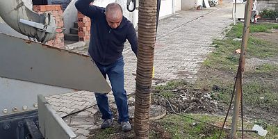 Logar Temizlikleri Devam Ediyor