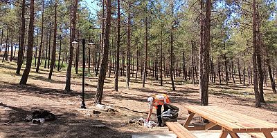 M.Nuri Erer Çamlığı Temizlendi