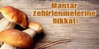 Mantar Zehirlenmelerine Dikkat!
