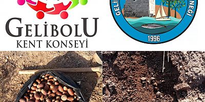 Meşe Palamudu Ekimi Yapılacak