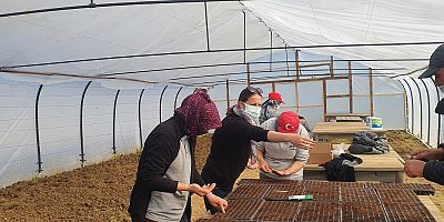 Mevsimlik Çiçeklerin Tohumları Atıldı