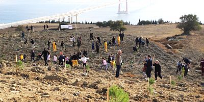 Milli Ağaçlandırma Gününde İlçemizde 300 Fidan Dikildi
