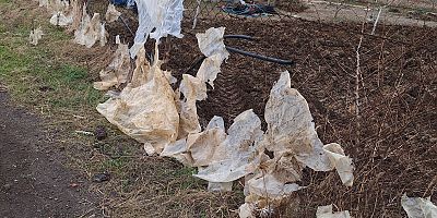 Naylon Atıklar Çevreyi Tehdit Ediyor