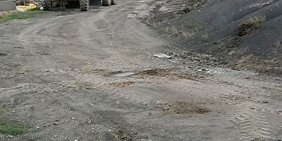 Orman Yolunda Islah Çalışmaları Başladı