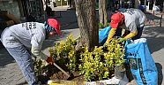 Park ve Bahçeler Kenti Yeşillendiriyor