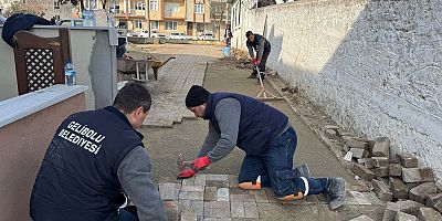 Parke Taş Onarımları Devam Ediyor