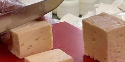Peynircillik Uygulama ve Araştırma Merkezi Kuruldu