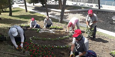 Peyzaj Çalışmaları Devam Ediyor