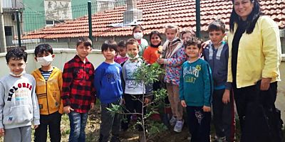 Piri Reis İlkokulu Öğrencileri Fidan Dikti