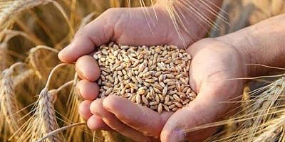 Prim Desteği İçin Son Gün 16 Eylül!