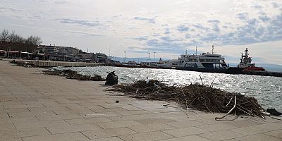 Sahil Şeridinde Kapsamlı Temizlik Çalışması Yapıldı