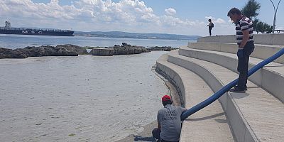 Sahilde Müsilaj Temizlik Çalışması Yapıldı