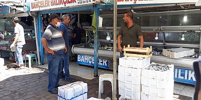 Sardalyanın  Kilosu 10 Liraya Düştü